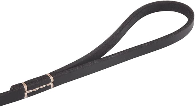 Artisan Leather Leash