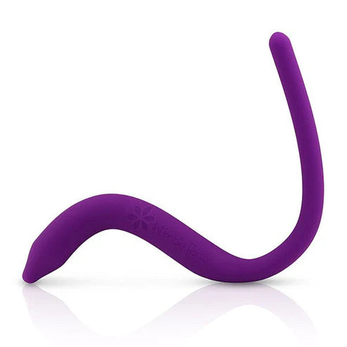 Pelvic Floor Wand - Original