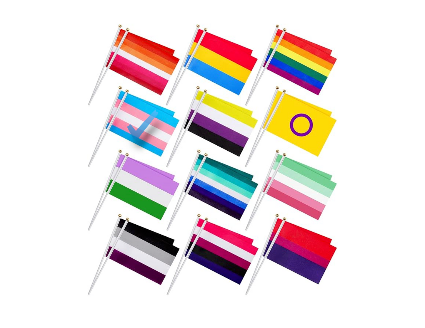 Pride Expression Flag