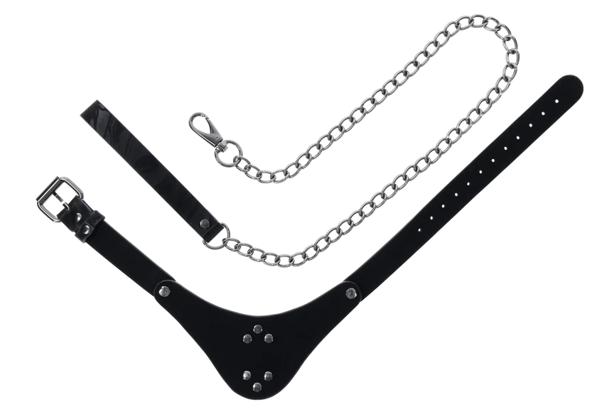 Velvet Noir Collar & Leash