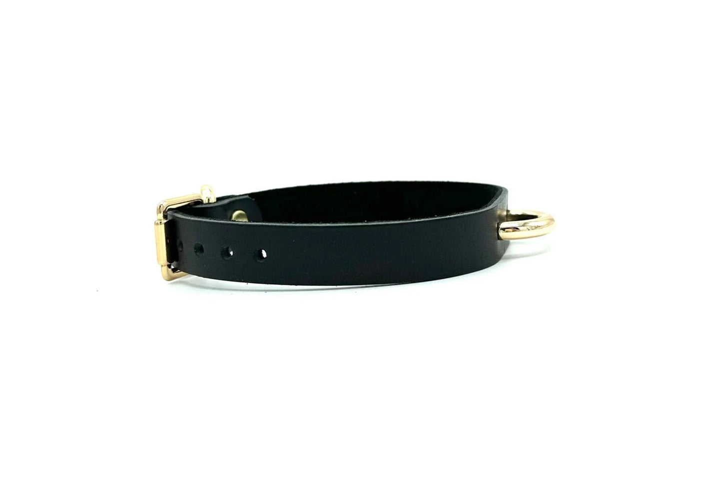 RIO Black Day Collar and Matching Leash