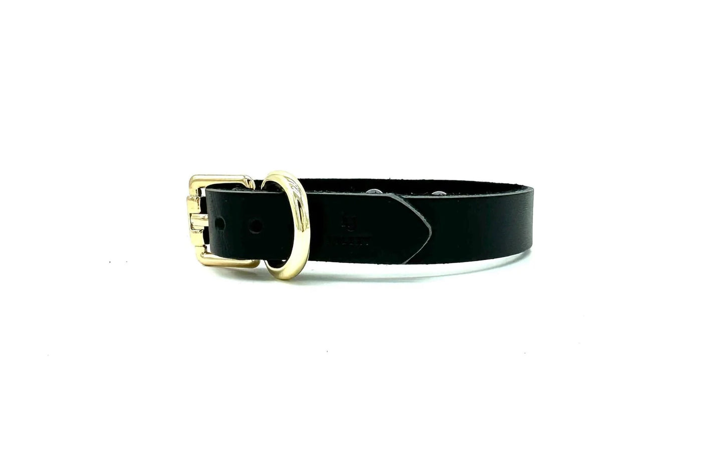 RIO Black Day Collar and Matching Leash