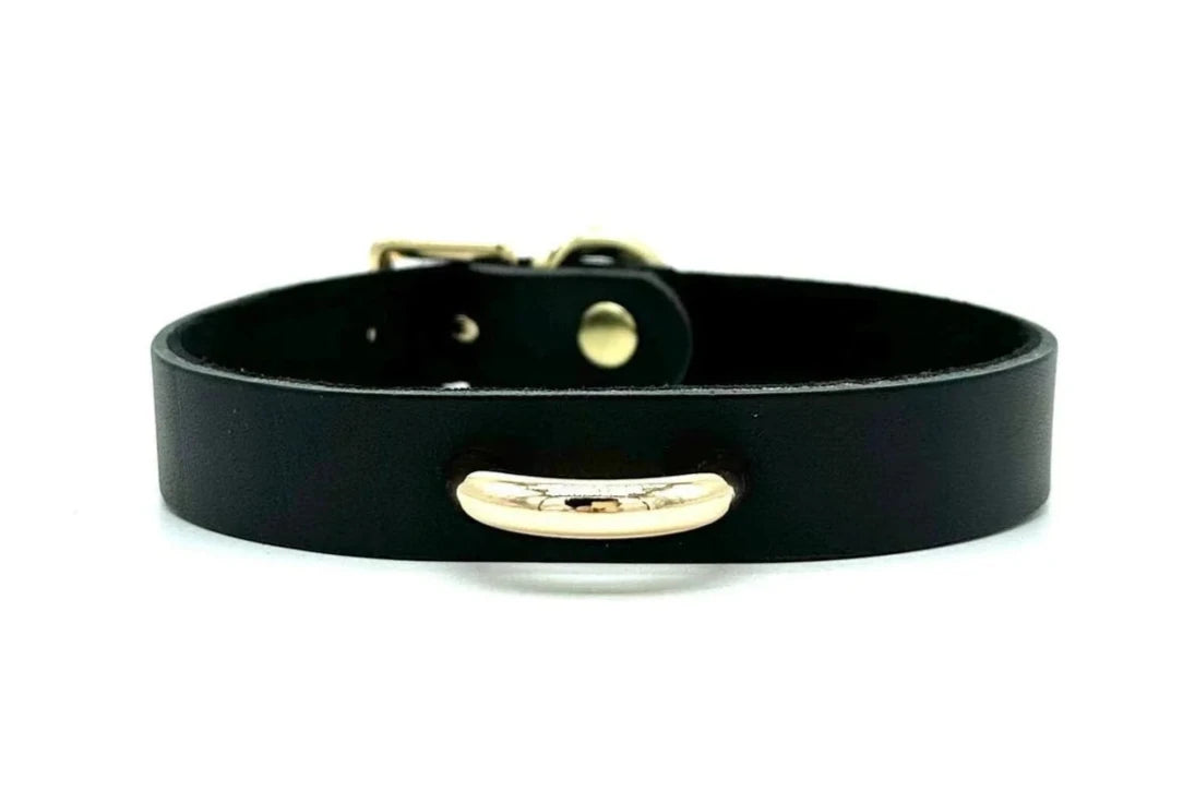 RIO Black Day Collar and Matching Leash