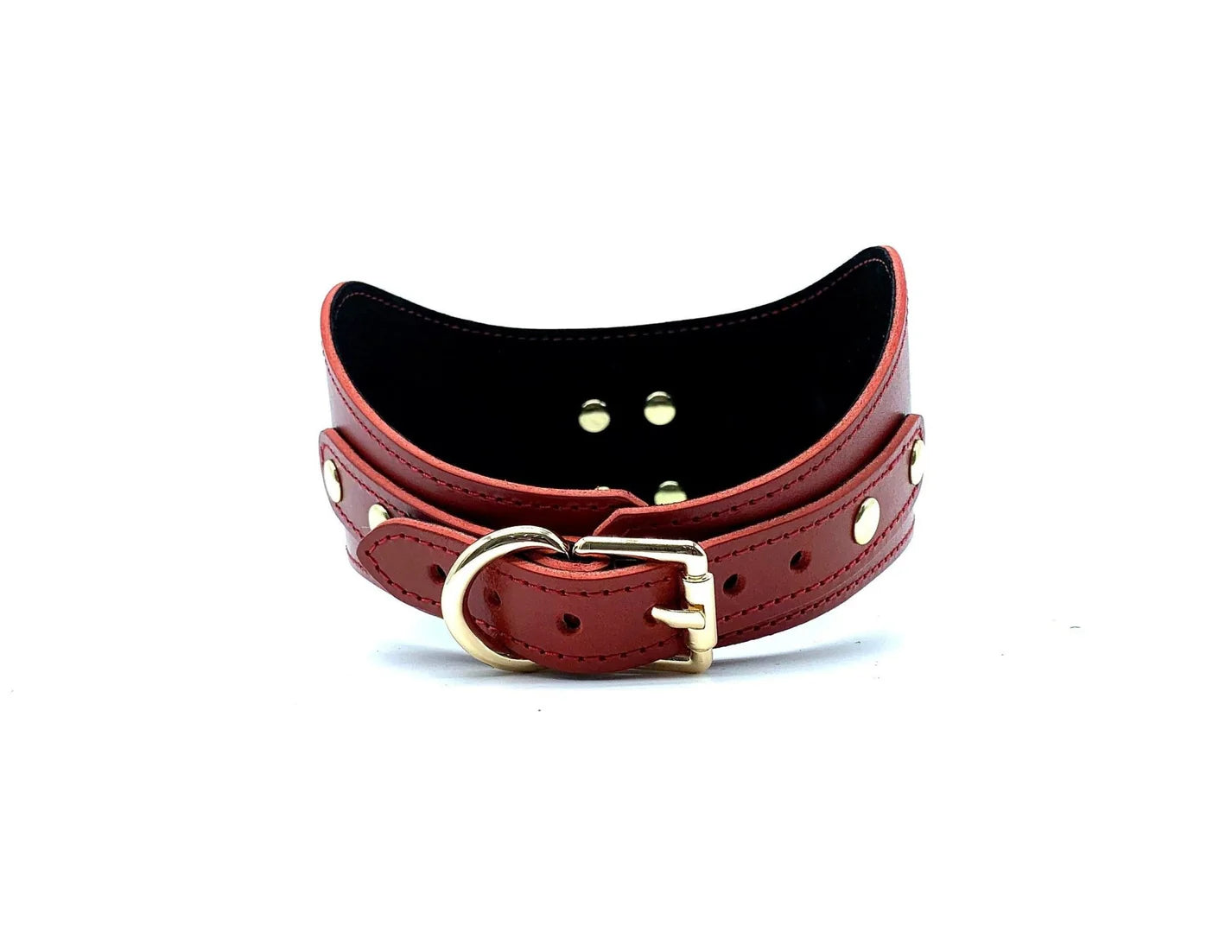 Curved for Posture Tango Collar and Matching Leash