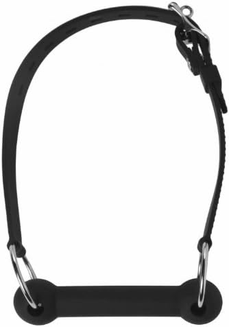 Master Series Bit Gag