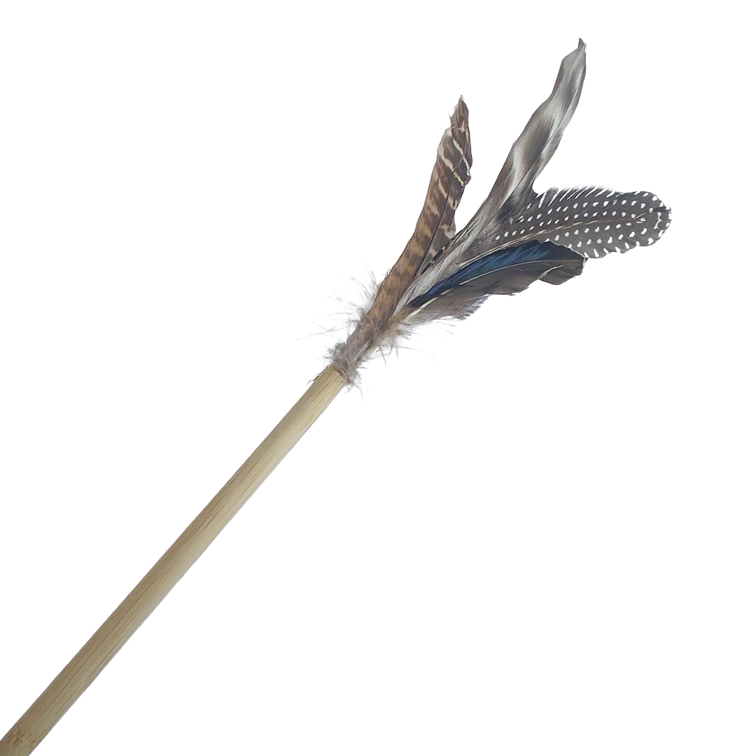 Sensation Feathers