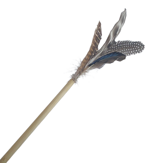 Sensation Feathers