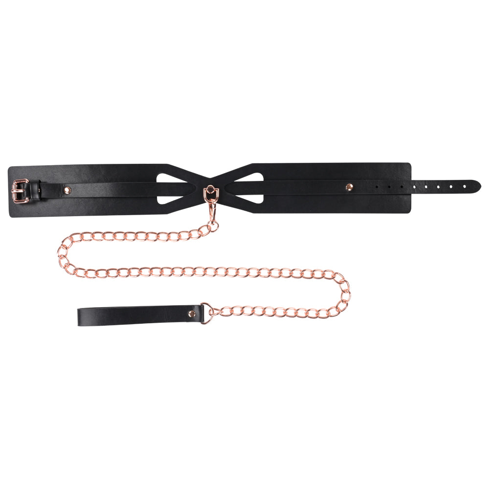 S&M Brat Collar and Leash