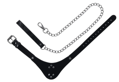 Velvet Noir Collar & Leash
