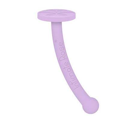 Dilator Handle